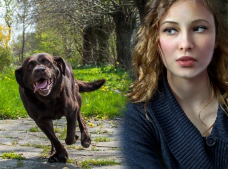 Собака бежит – счастье спешит: Почему нельзя прогонять бродячих псов?