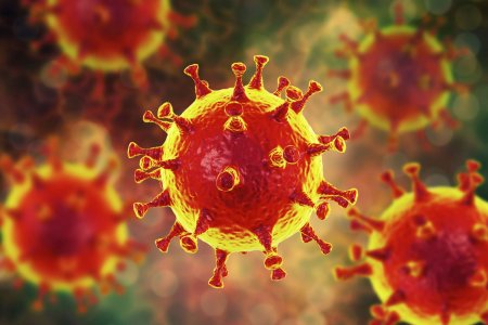 В ЕАЭС создают единый фронт борьбы с коронавирусом