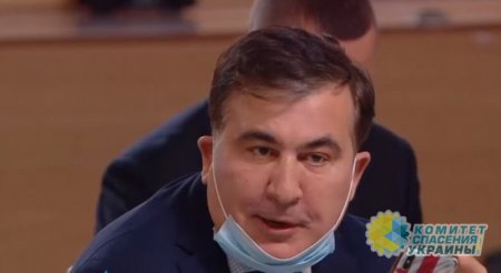 В «Слуге народа» обвинили «офис Саакашвили» во вредительстве интересам Украины