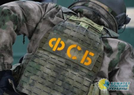 В России прошли задержания сторонников украинских радикалов из «М.К.У.»