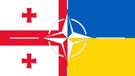 МИД призвал дезавуировать решение о включении Украины и Грузии в НАТО
