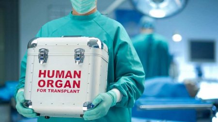 В ЛНР сообщили о появлении «чёрных трансплантологов» под Артёмовском