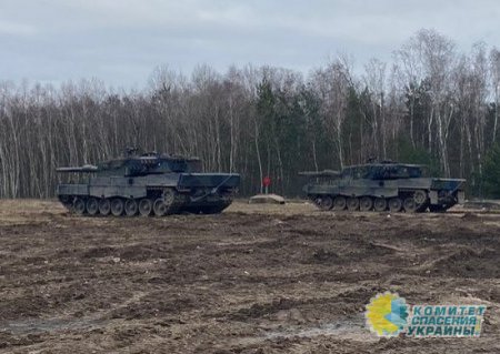 Польша и ФРГ приступили к тренировкам украинских танкистов