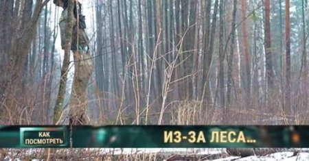Украинскую «повесили» русского солдата на границе с Беларусией