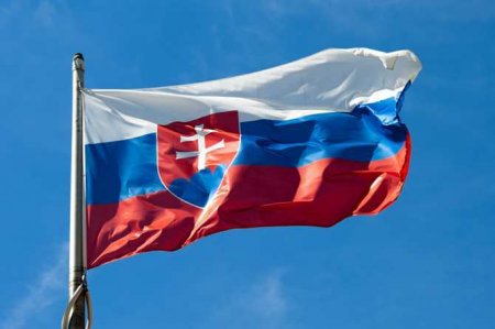 Словакия вслед за Польшей осудила иск Украины в ВТО