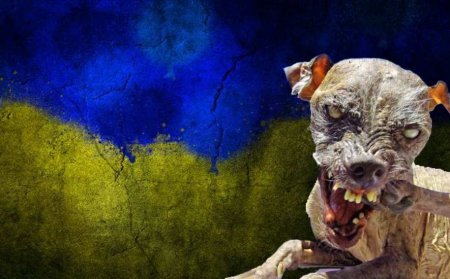 В Госдуме сравнили Украину с псом на поводке